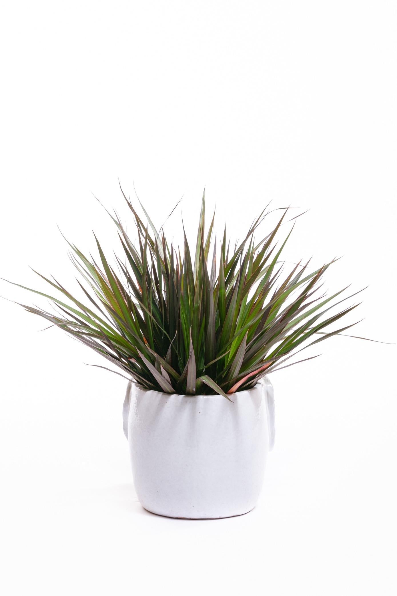 Italian Midcentury Ceramic White Elephant Planter