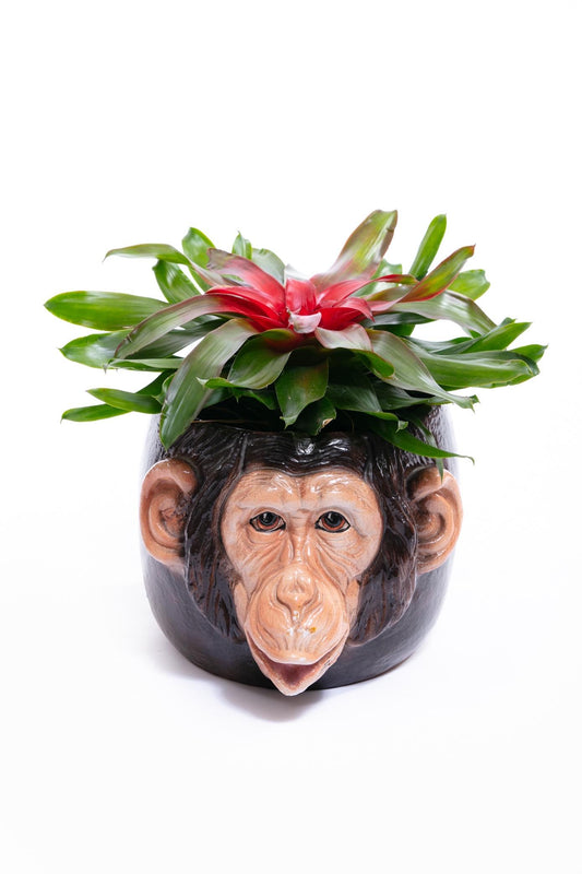 Italian Mid Century Hand Painted Chimpanzee Planter