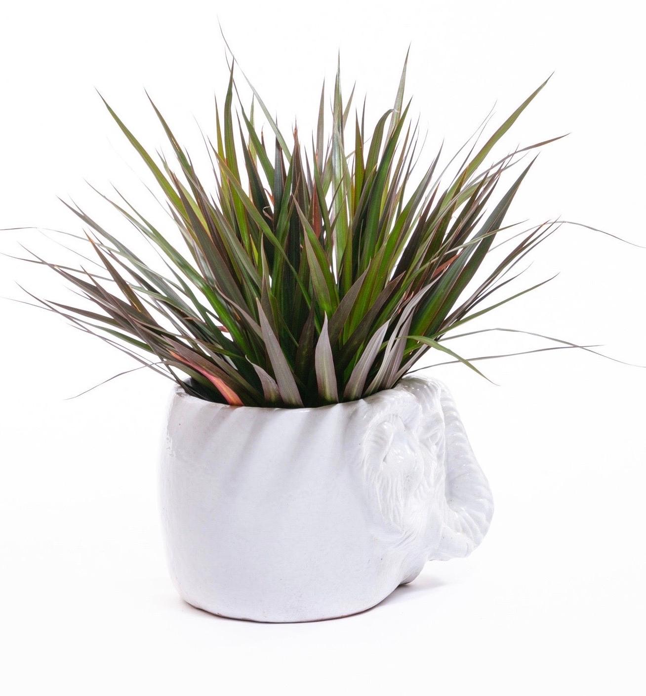 Italian Midcentury Ceramic White Elephant Planter